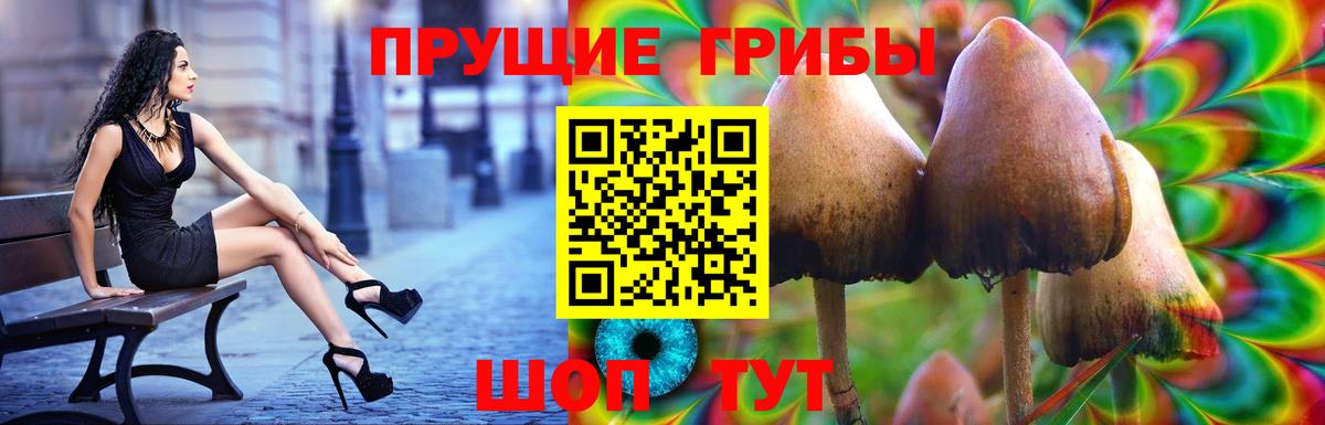 Галлюциногенные грибы Psilocybine cubensis Асино